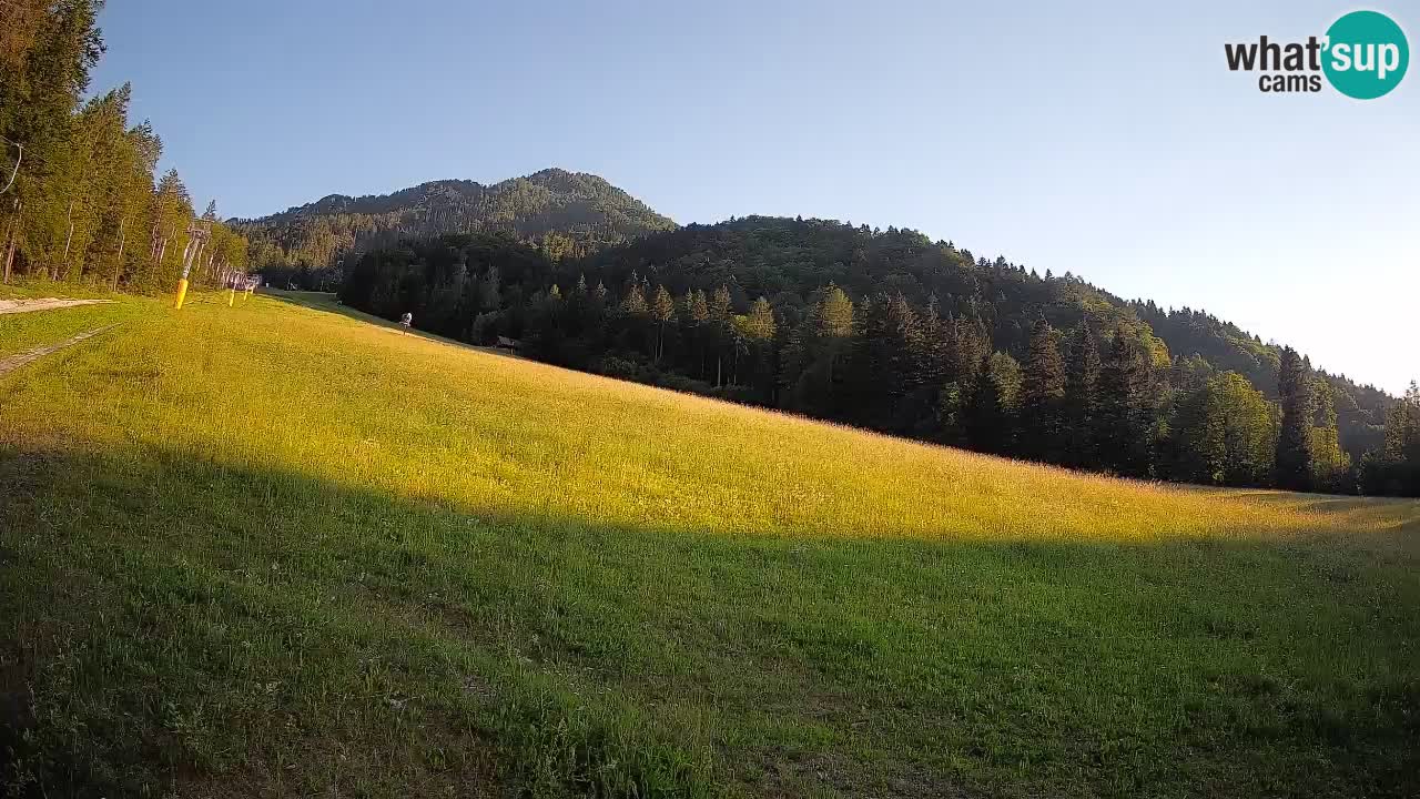 Esquí Kranjska Gora | Brsnina
