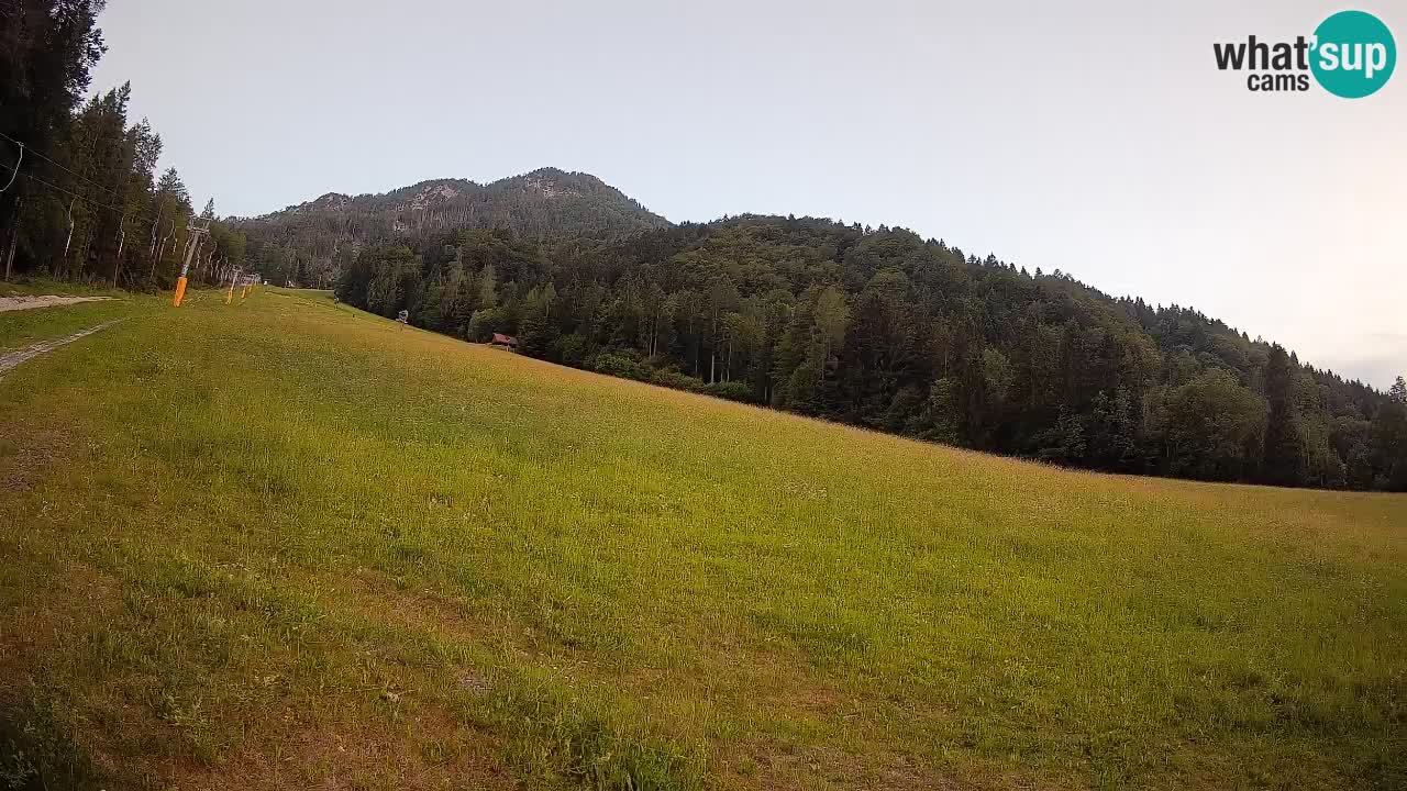 Comprensorio sciistico Kranjska Gora | Brsnina