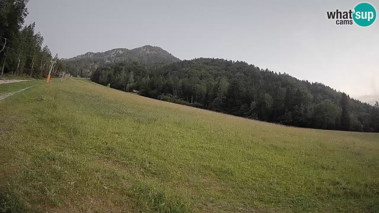 RTC Skigebiet Kranjska Gora | Brsnina