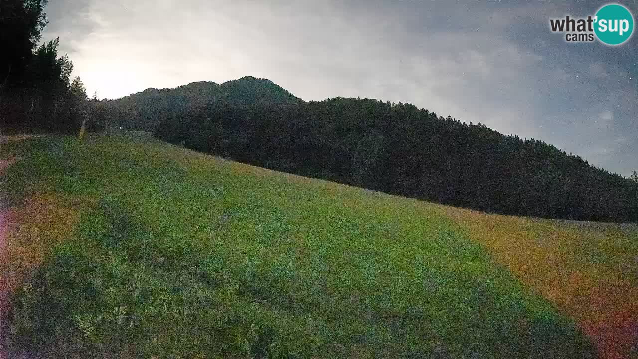 RTC Skigebiet Kranjska Gora | Brsnina