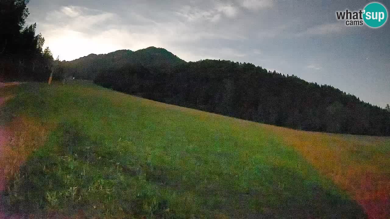 Ski Kranjska Gora | Brsnina