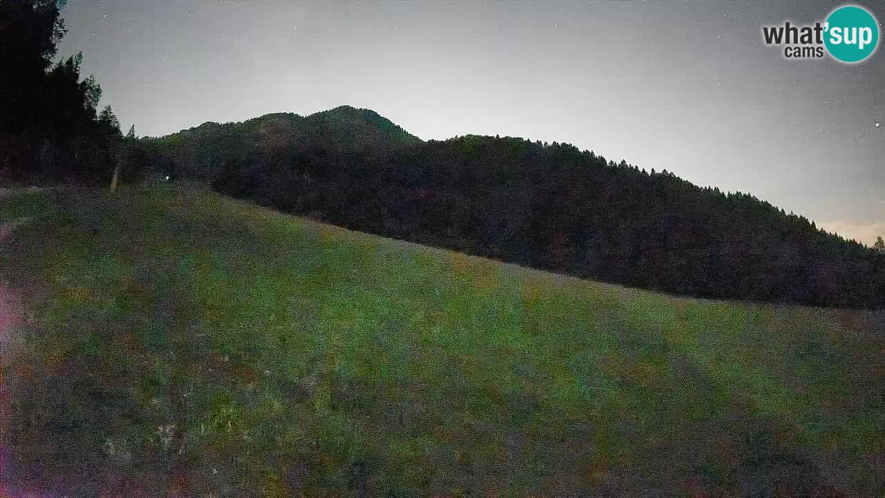 RTC Skigebiet Kranjska Gora | Brsnina