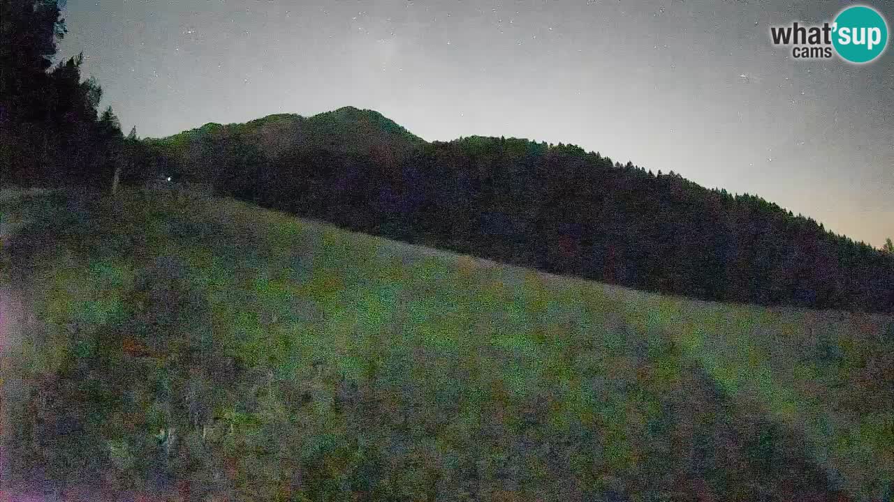 RTC Skigebiet Kranjska Gora | Brsnina