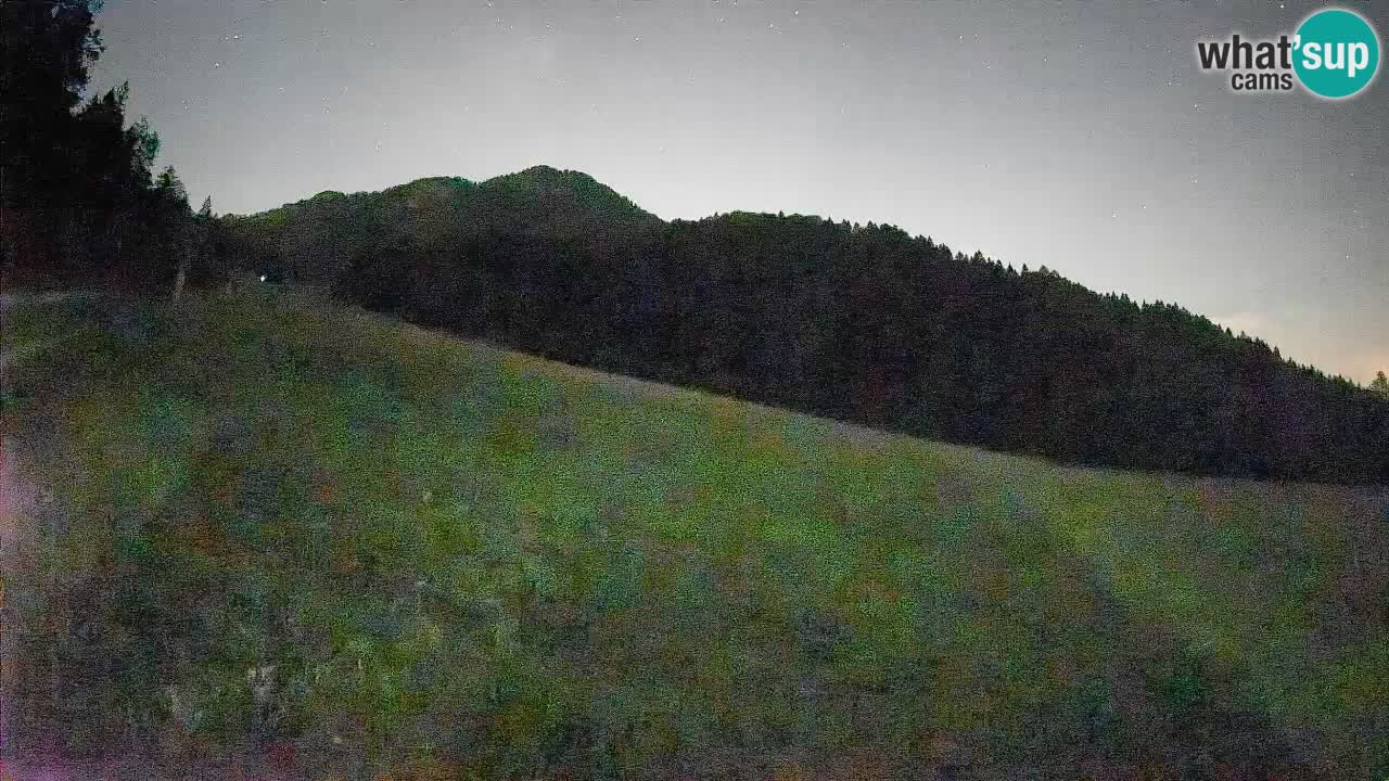 RTC Skigebiet Kranjska Gora | Brsnina
