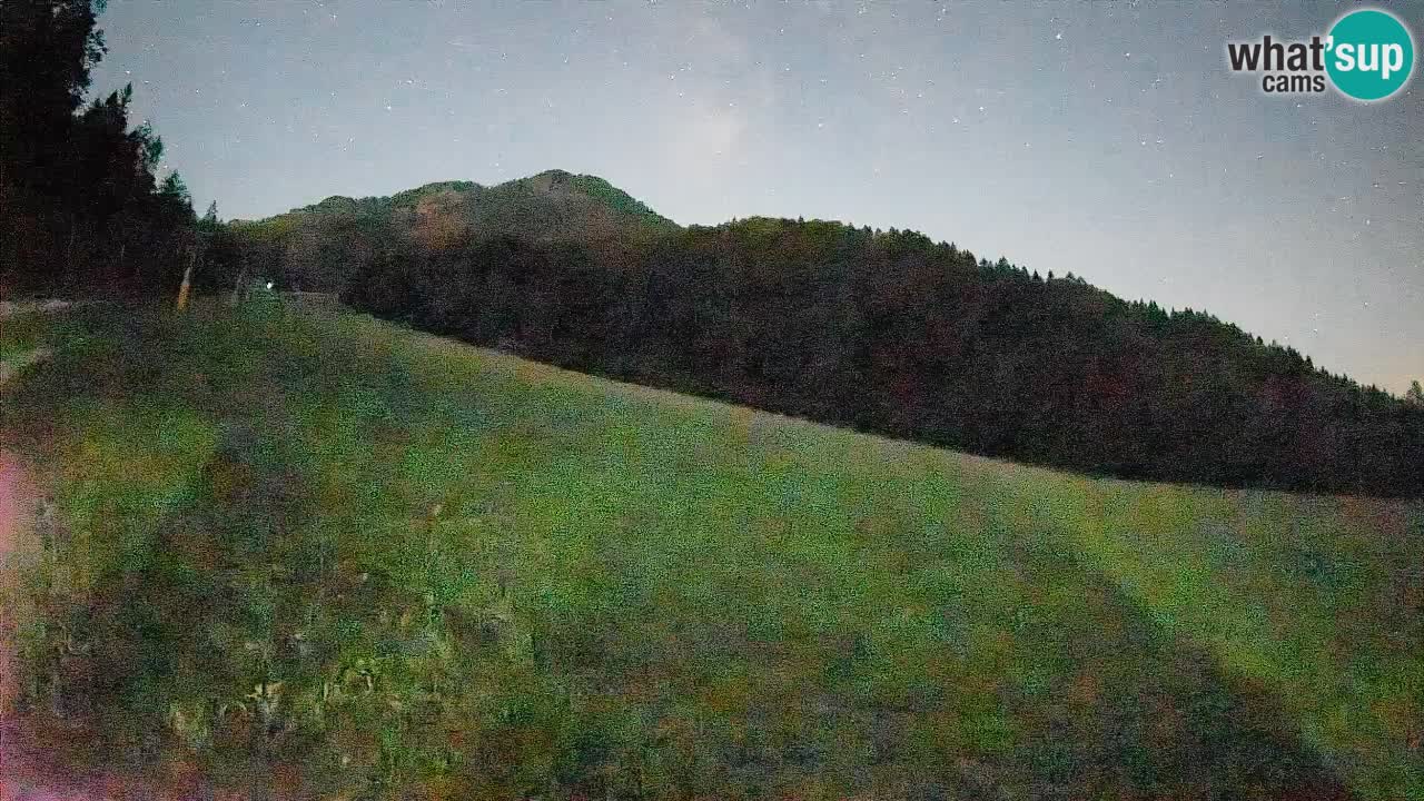 Ski Kranjska Gora | Brsnina