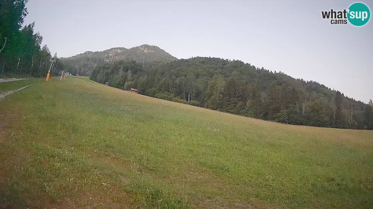 RTC Skigebiet Kranjska Gora | Brsnina
