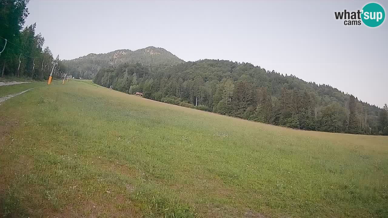 RTC Kranjska Gora | Brsnina