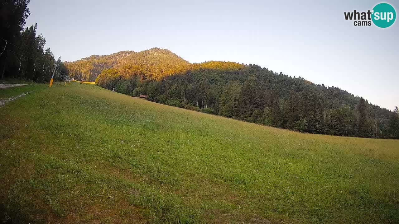 Ski Kranjska Gora | Brsnina