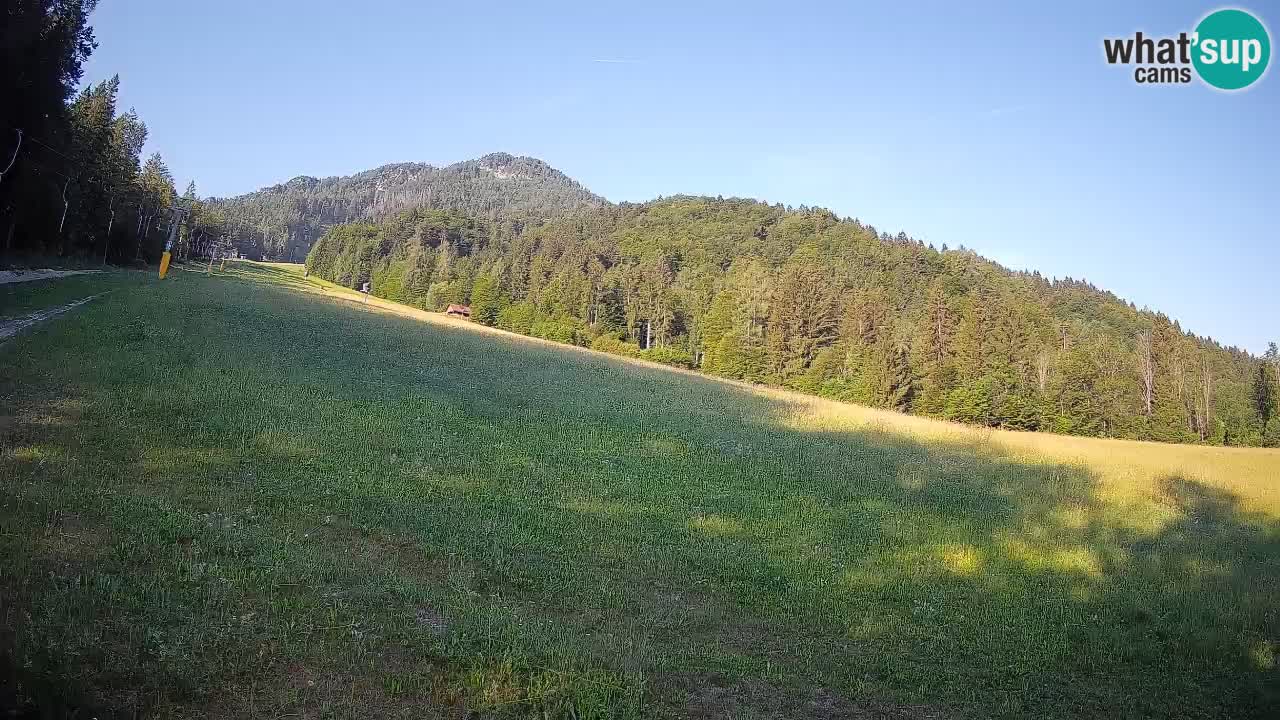 Ski Kranjska Gora | Brsnina