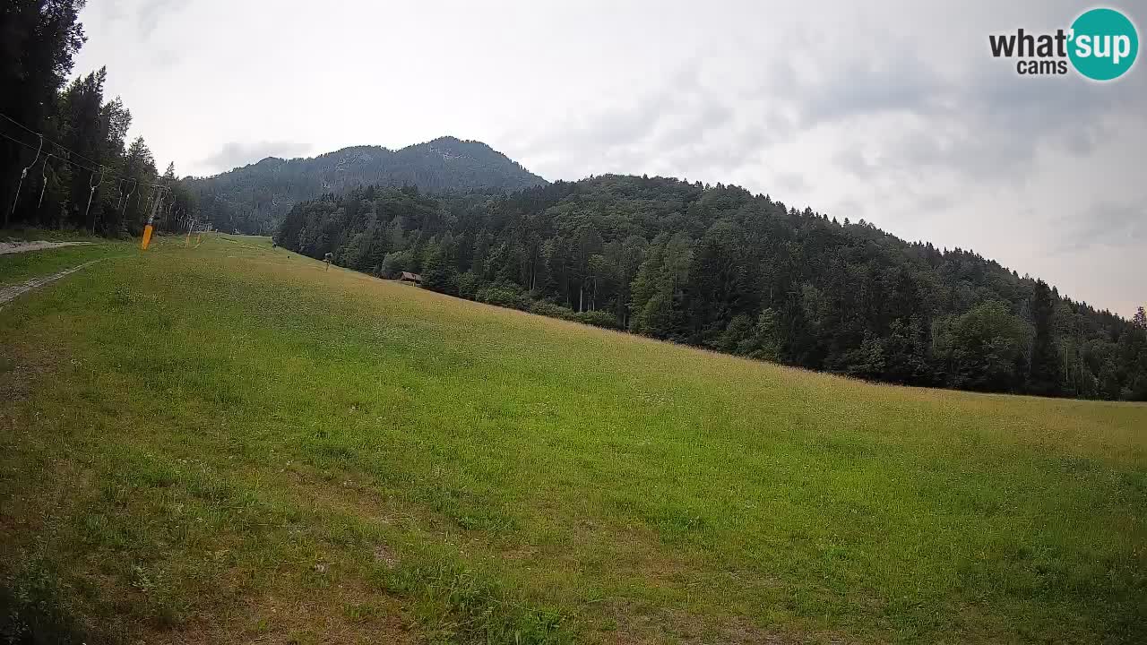 Ski Kranjska Gora | Brsnina