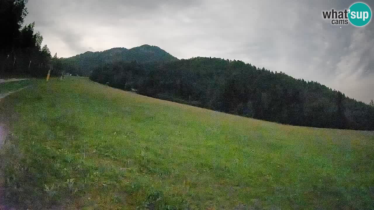 Ski Kranjska Gora | Brsnina