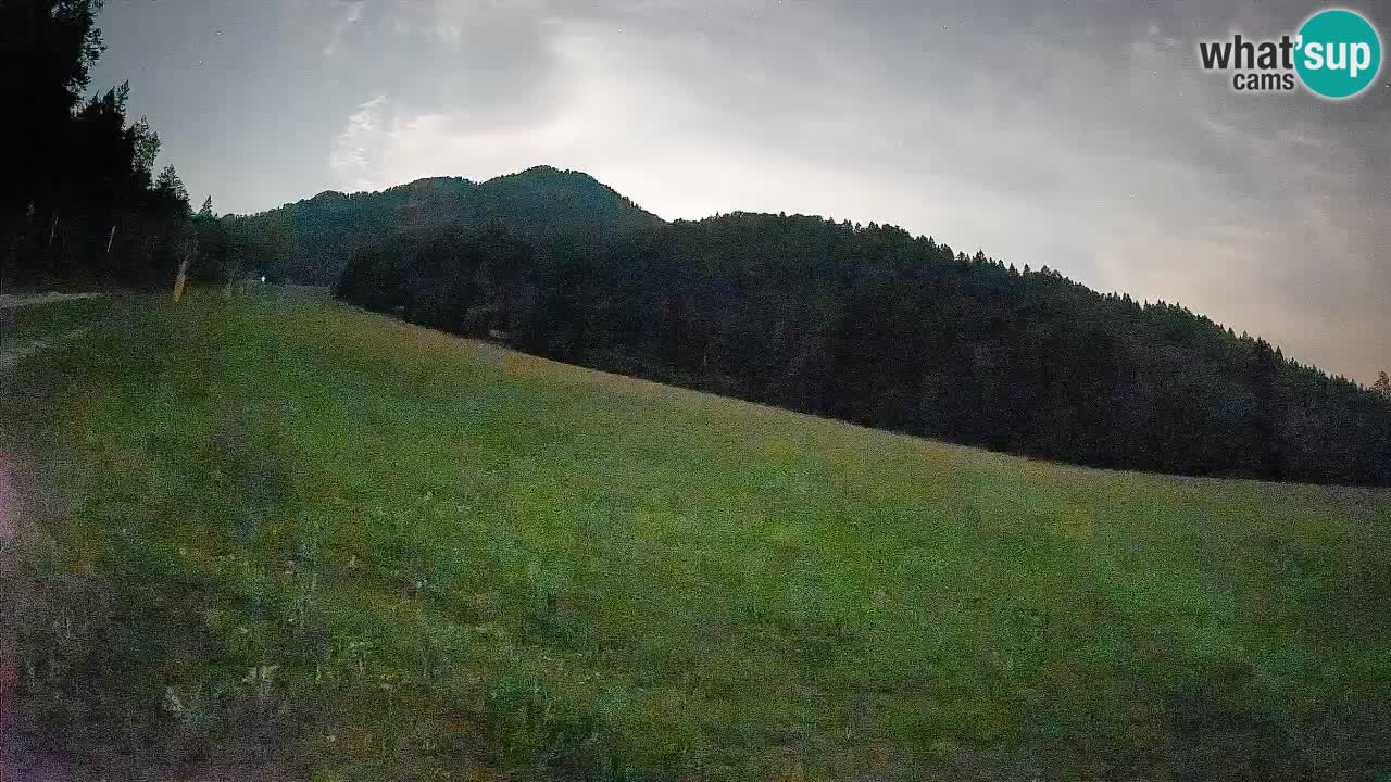 Ski Kranjska Gora | Brsnina