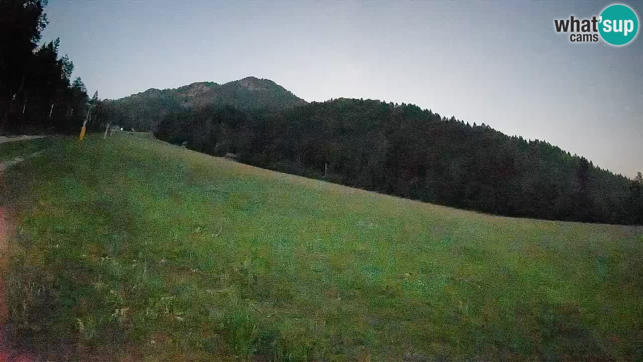 Ski Kranjska Gora | Brsnina