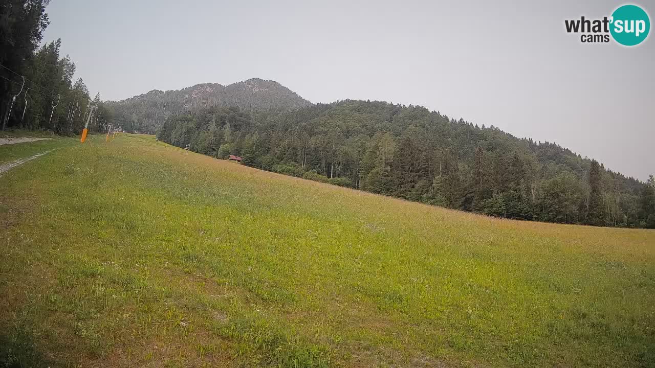 Comprensorio sciistico Kranjska Gora | Brsnina