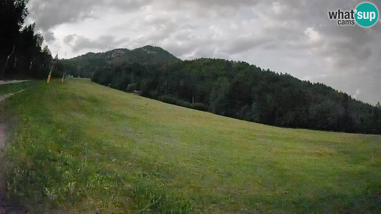 Ski Kranjska Gora | Brsnina