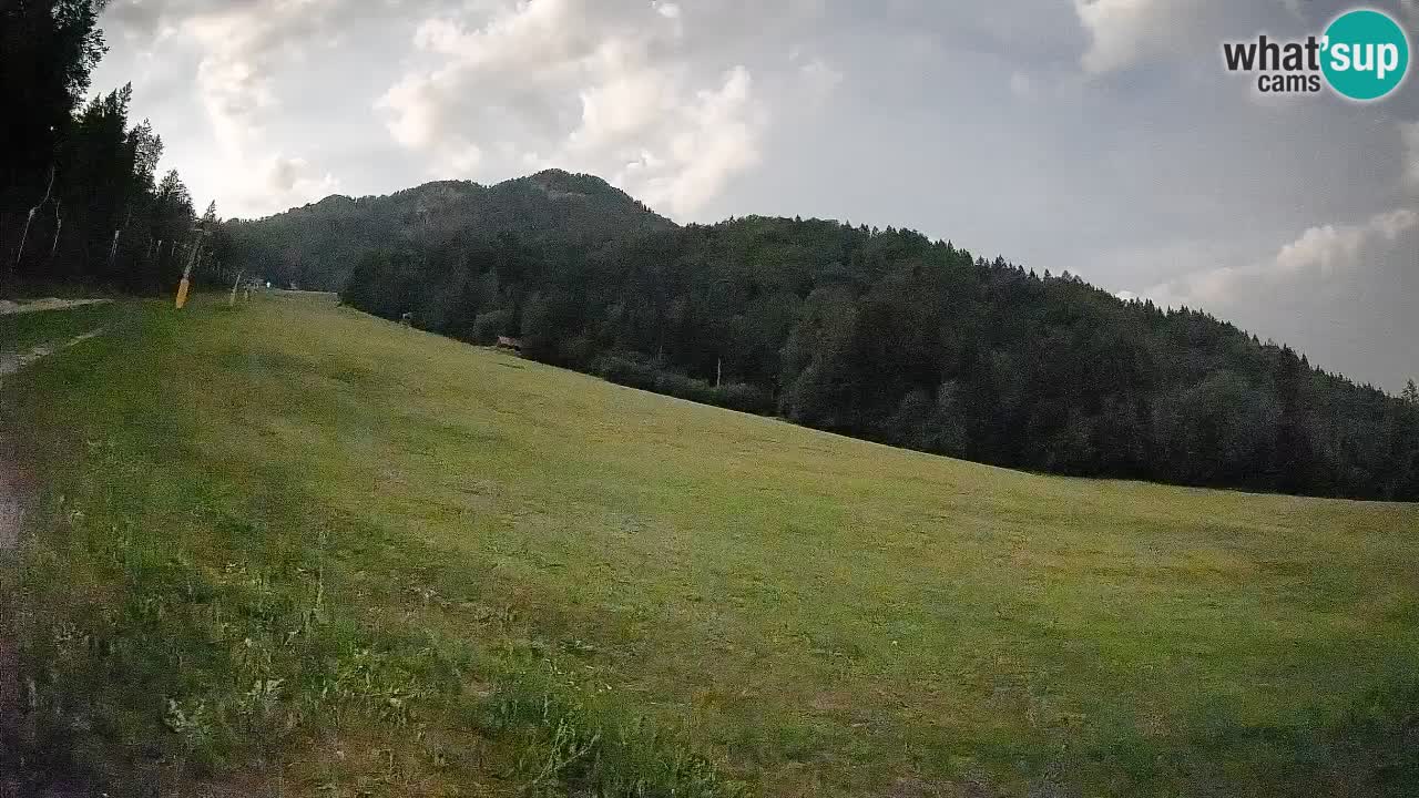 Ski Kranjska Gora | Brsnina