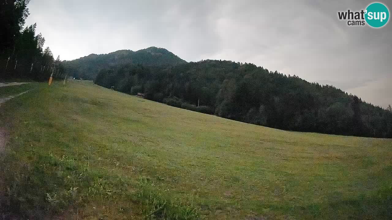 Comprensorio sciistico Kranjska Gora | Brsnina
