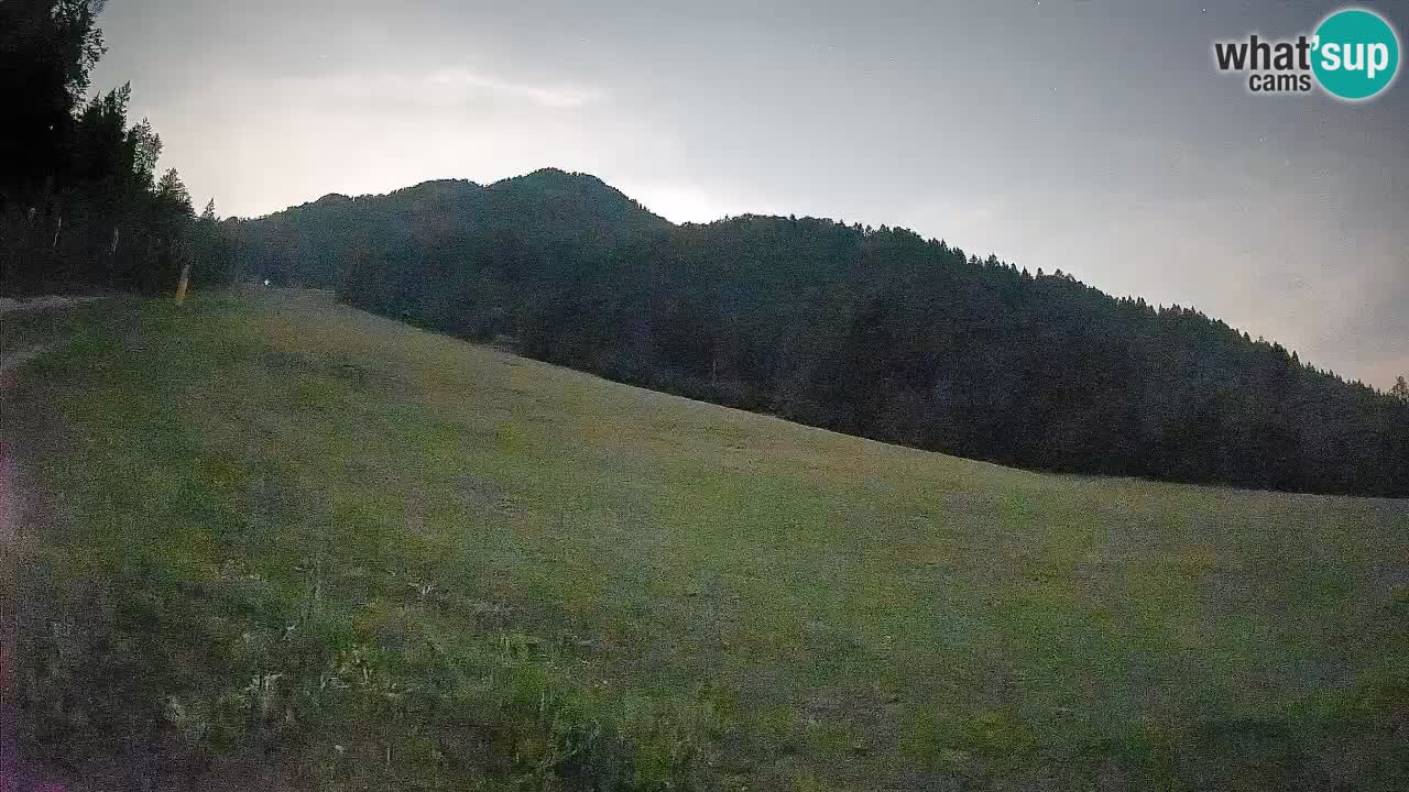 RTC Skigebiet Kranjska Gora | Brsnina