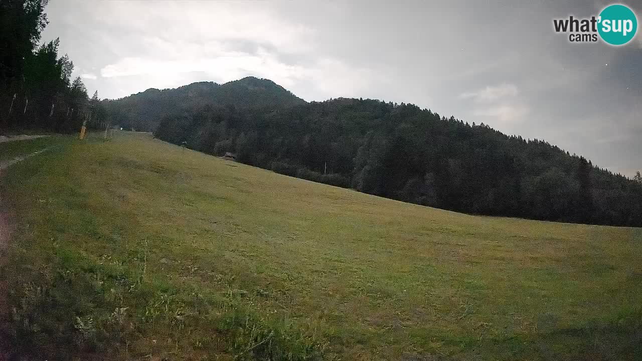 Ski Kranjska Gora | Brsnina