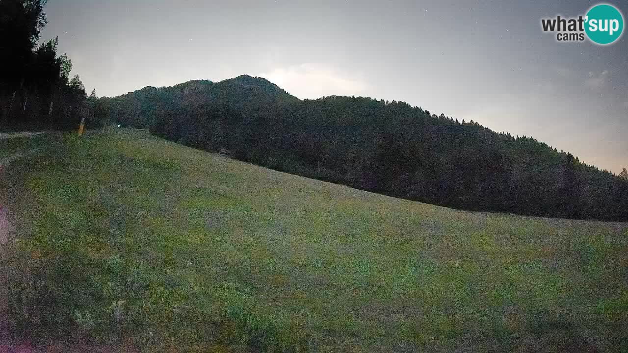 Comprensorio sciistico Kranjska Gora | Brsnina