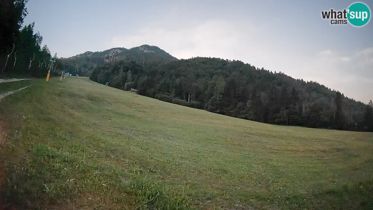 Kranjska Gora Station de ski | Brsnina