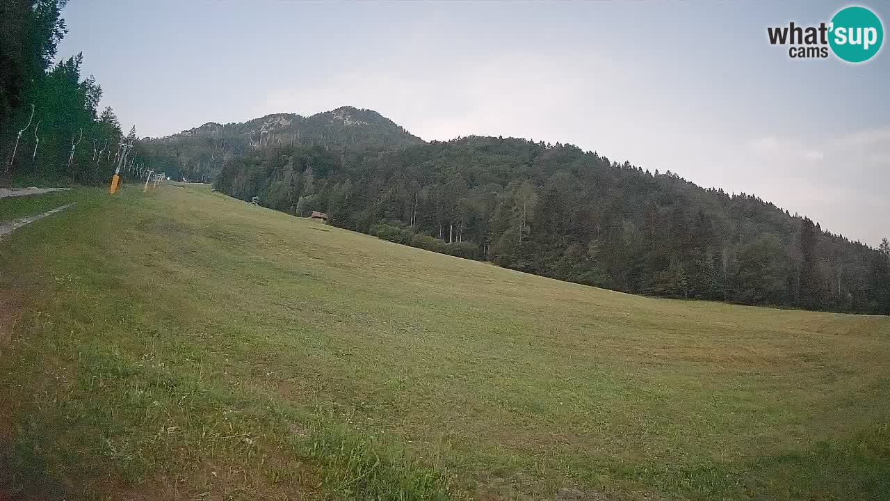 RTC Skigebiet Kranjska Gora | Brsnina