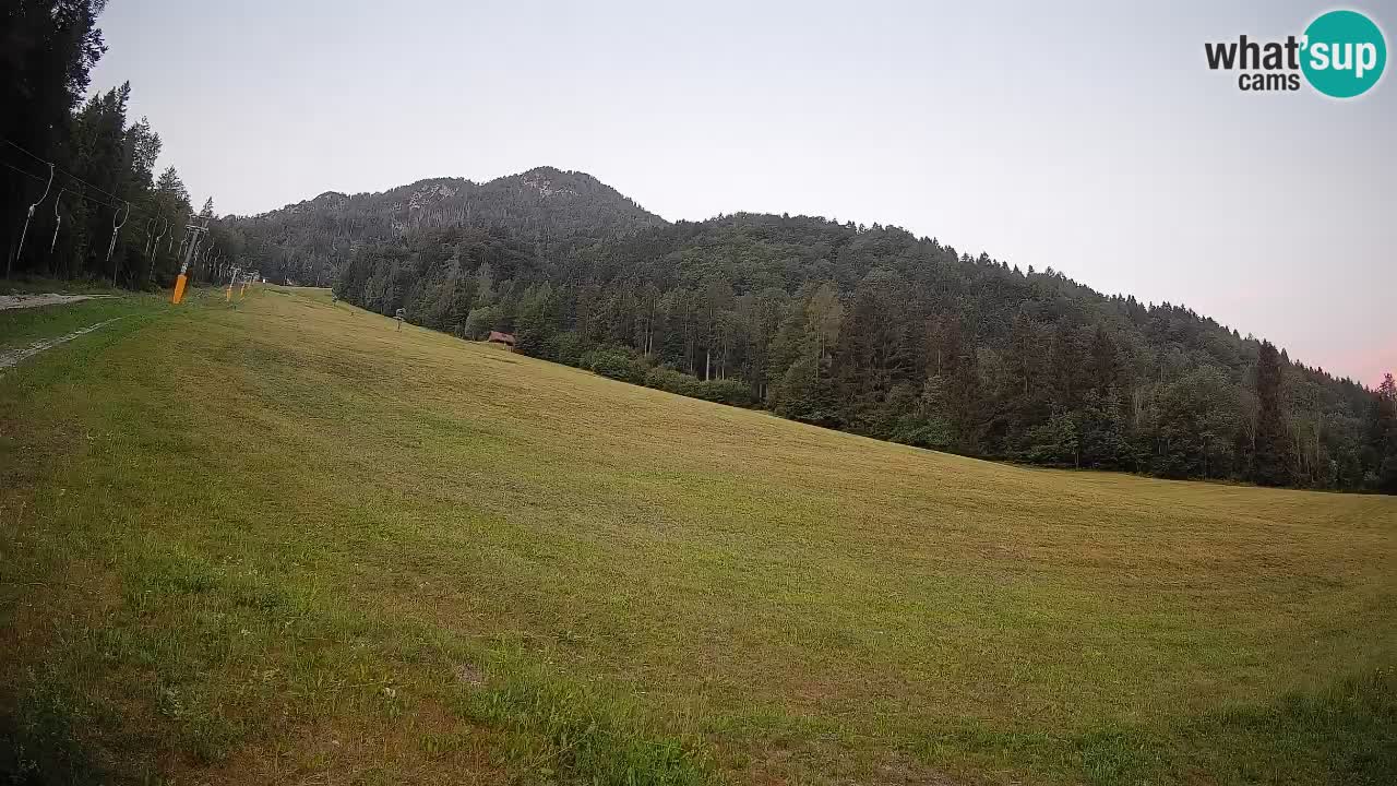 Comprensorio sciistico Kranjska Gora | Brsnina