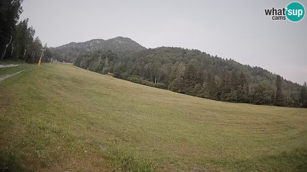 Comprensorio sciistico Kranjska Gora | Brsnina