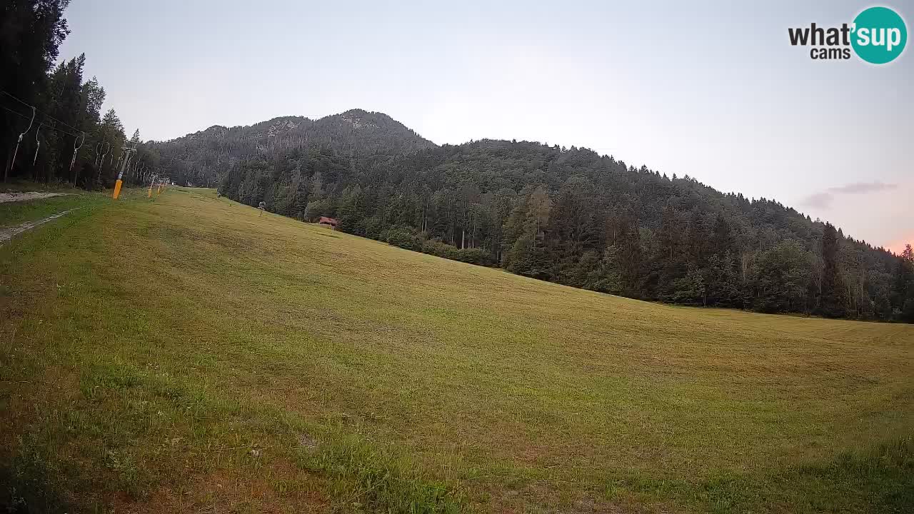 RTC Kranjska Gora | Brsnina