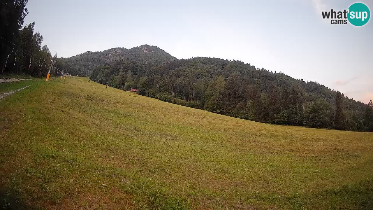 RTC Skigebiet Kranjska Gora | Brsnina