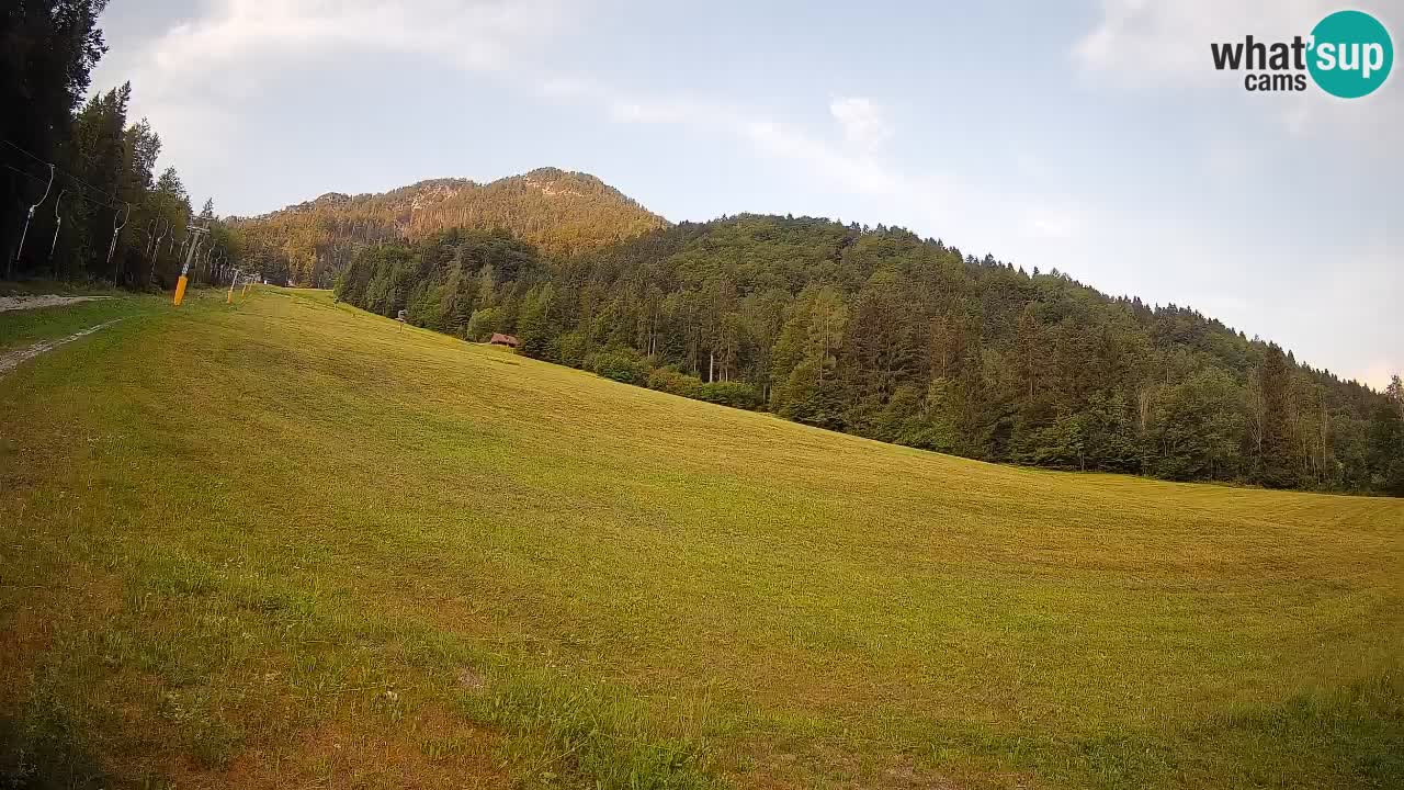 RTC Kranjska Gora | Brsnina