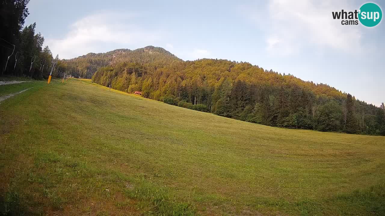 Esquí Kranjska Gora | Brsnina
