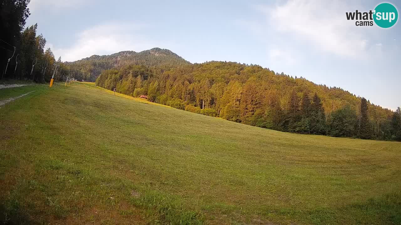 RTC Kranjska Gora | Brsnina