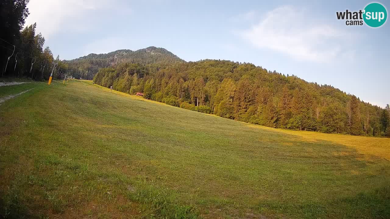 RTC Skigebiet Kranjska Gora | Brsnina
