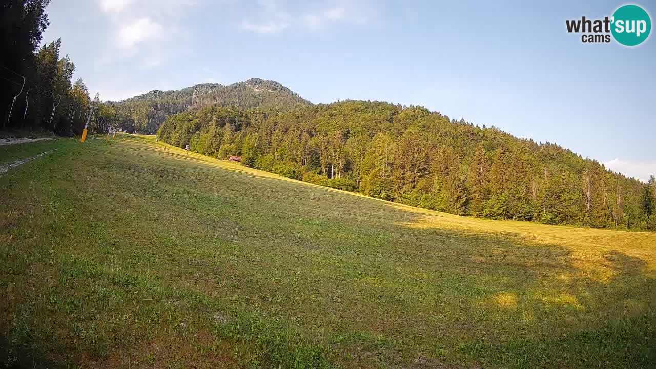 Kranjska Gora SKIJANJE | Brsnina