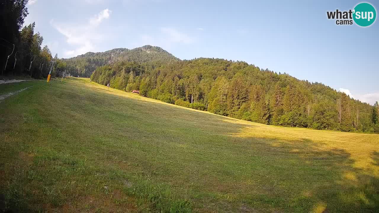 RTC Skigebiet Kranjska Gora | Brsnina
