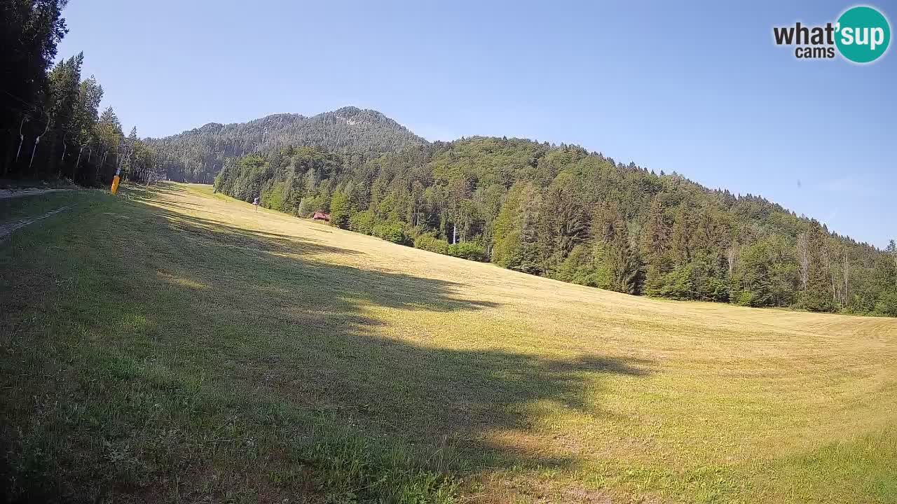 Ski Kranjska Gora | Brsnina