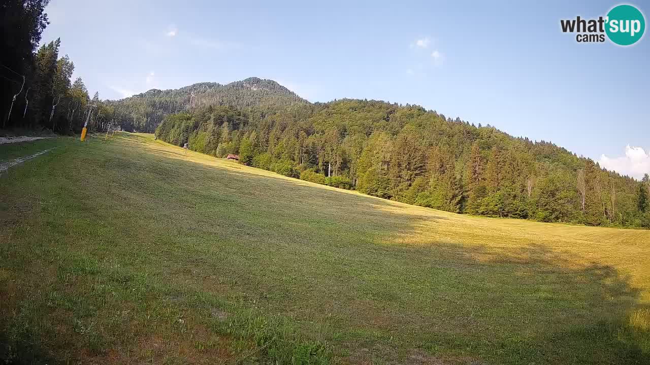 Kranjska Gora SKIJANJE | Brsnina