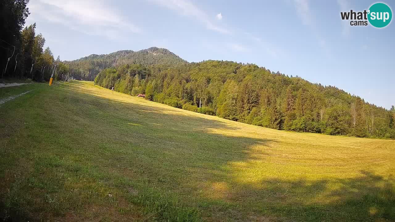 RTC Skigebiet Kranjska Gora | Brsnina