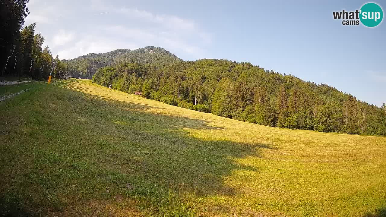 Kranjska Gora Station de ski | Brsnina