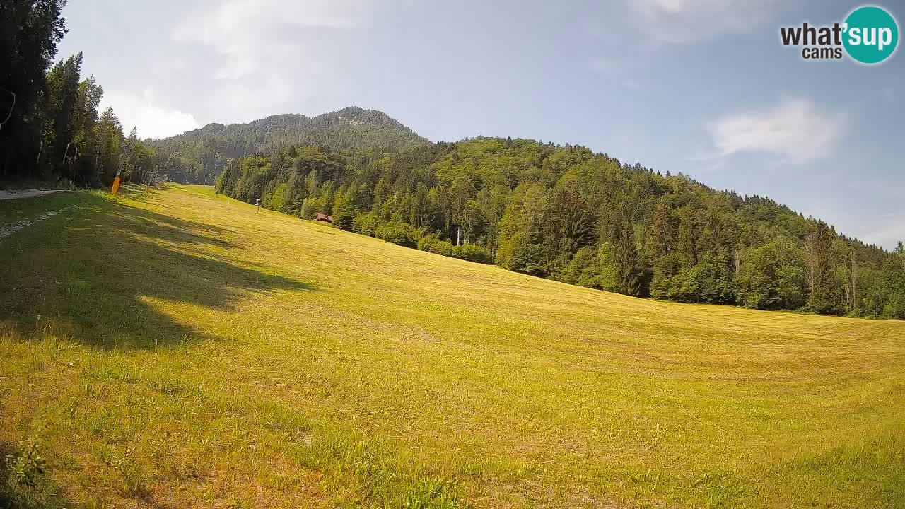 Kranjska Gora SKIJANJE | Brsnina
