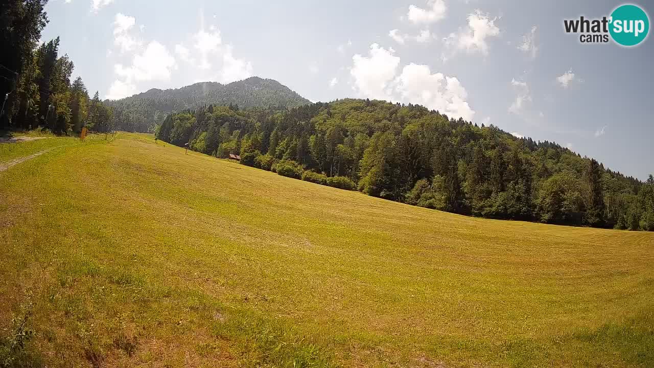 Comprensorio sciistico Kranjska Gora | Brsnina