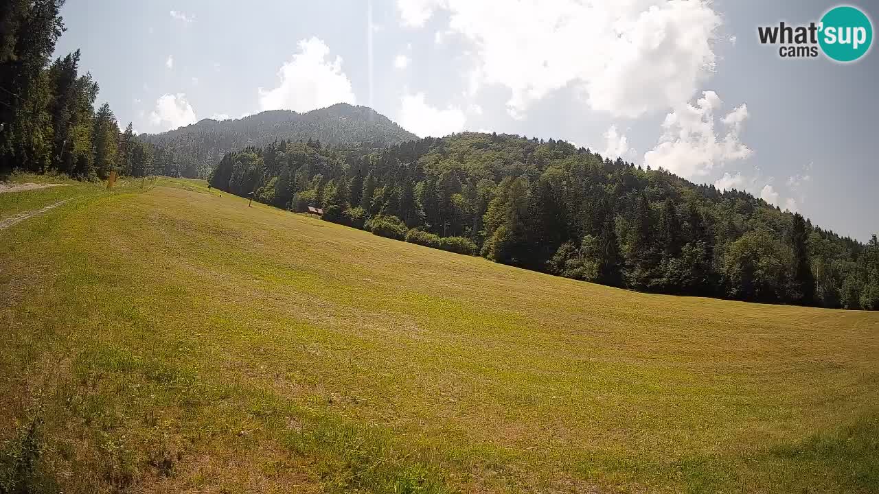 Comprensorio sciistico Kranjska Gora | Brsnina