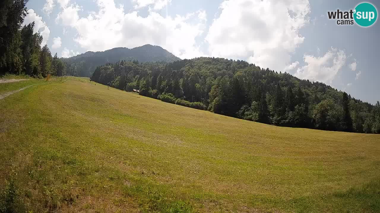 RTC Skigebiet Kranjska Gora | Brsnina