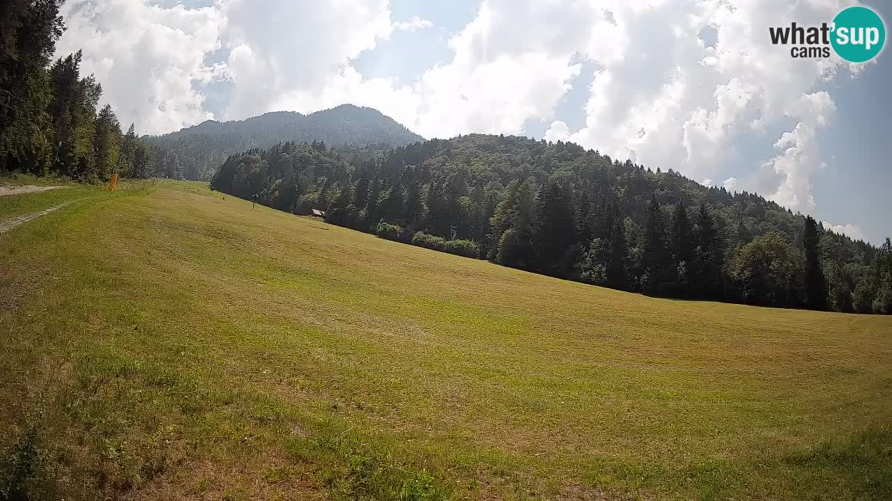 Kranjska Gora Station de ski | Brsnina
