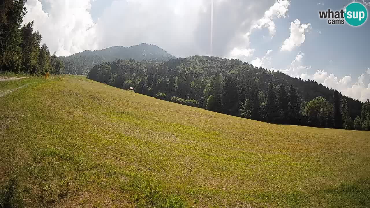 RTC Kranjska Gora | Brsnina