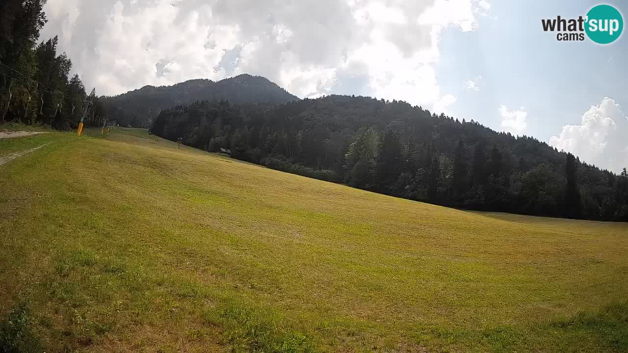 Esquí Kranjska Gora | Brsnina