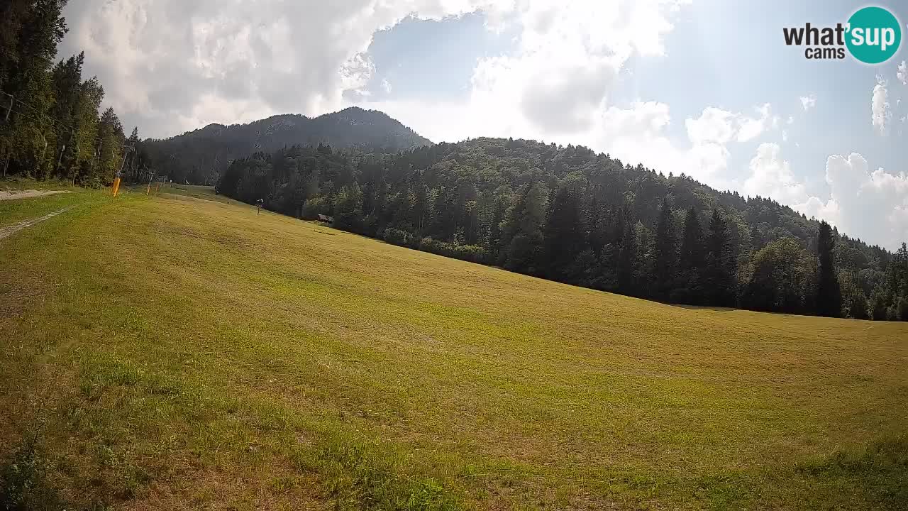 Esquí Kranjska Gora | Brsnina