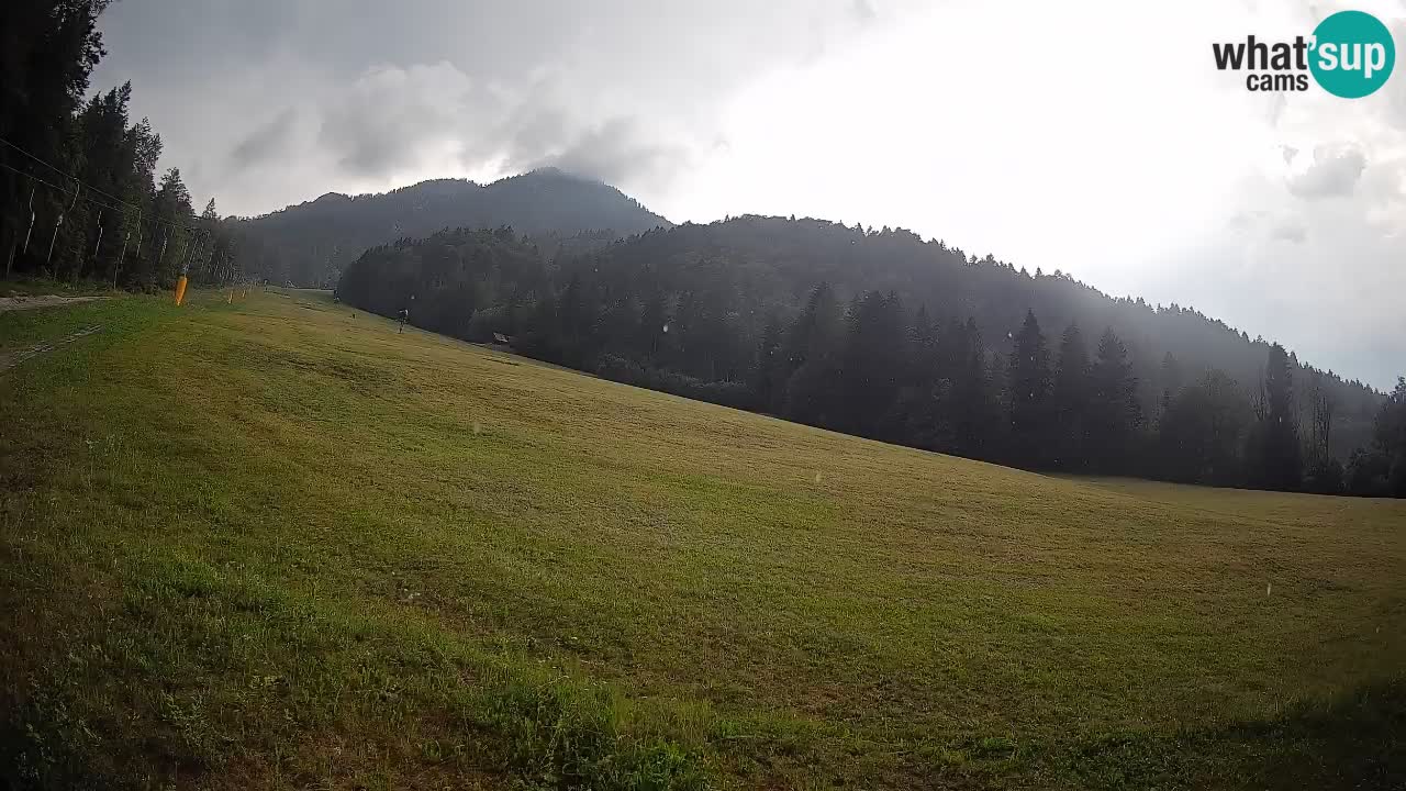 RTC Skigebiet Kranjska Gora | Brsnina