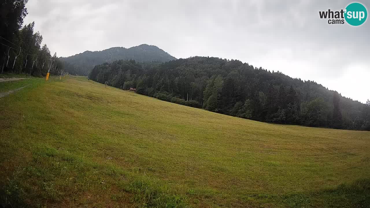 RTC Skigebiet Kranjska Gora | Brsnina